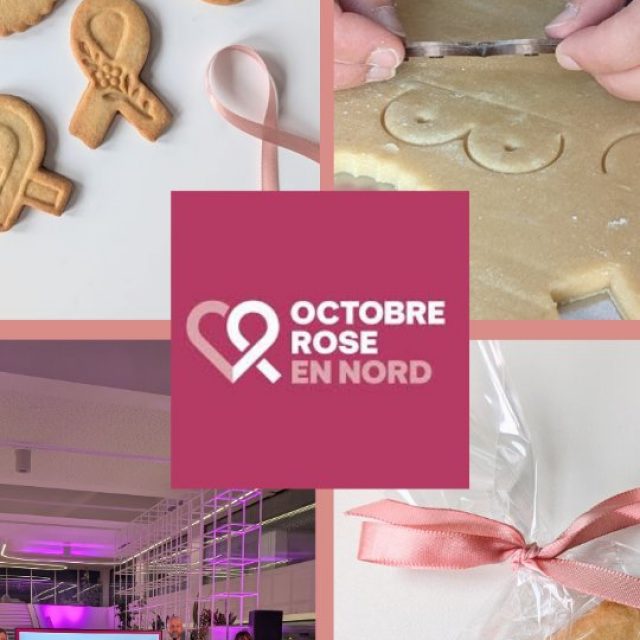 Quand le collectif @octobrerose_ennord m'a proposé de concevoir et réaliser une collection de biscuits solidaires, autant vous dire... la joie et l'émotion m'ont transportée 🥹🫶🏼 Mettre mon artisanat au service de la lutte contre le cancer du sein, c'était une évidence. J'avais cette envie profondément ancrée depuis longtemps... Et ensemble, on est allé plus loin, plus fort, plus haut ✨

Le résultat : on a dépassé les 500€ de dons pour @monbonnetrose 🩷

MERCI du fond du cœur à toutes les personnes et entreprises mécènes d'avoir rendu cela possible 🙏🏼

Découvrez ici les coulisses de cette formidable collab ✨

@rougegorgelingerie @publicislille @cicnordouest
 
#octobrerose