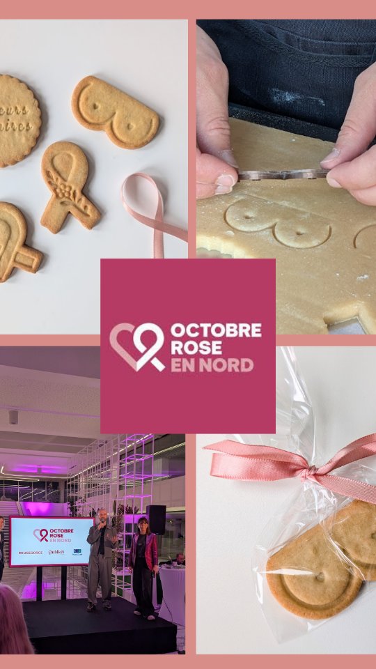 Quand le collectif @octobrerose_ennord m'a proposé de concevoir et réaliser une collection de biscuits solidaires, autant vous dire... la joie et l'émotion m'ont transportée 🥹🫶🏼 Mettre mon artisanat au service de la lutte contre le cancer du sein, c'était une évidence. J'avais cette envie profondément ancrée depuis longtemps... Et ensemble, on est allé plus loin, plus fort, plus haut ✨

Le résultat : on a dépassé les 500€ de dons pour @monbonnetrose 🩷

MERCI du fond du cœur à toutes les personnes et entreprises mécènes d'avoir rendu cela possible 🙏🏼

Découvrez ici les coulisses de cette formidable collab ✨

@rougegorgelingerie @publicislille @cicnordouest
 
#octobrerose